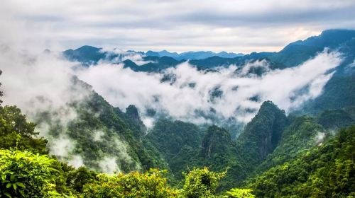 Longtan National Forest Park