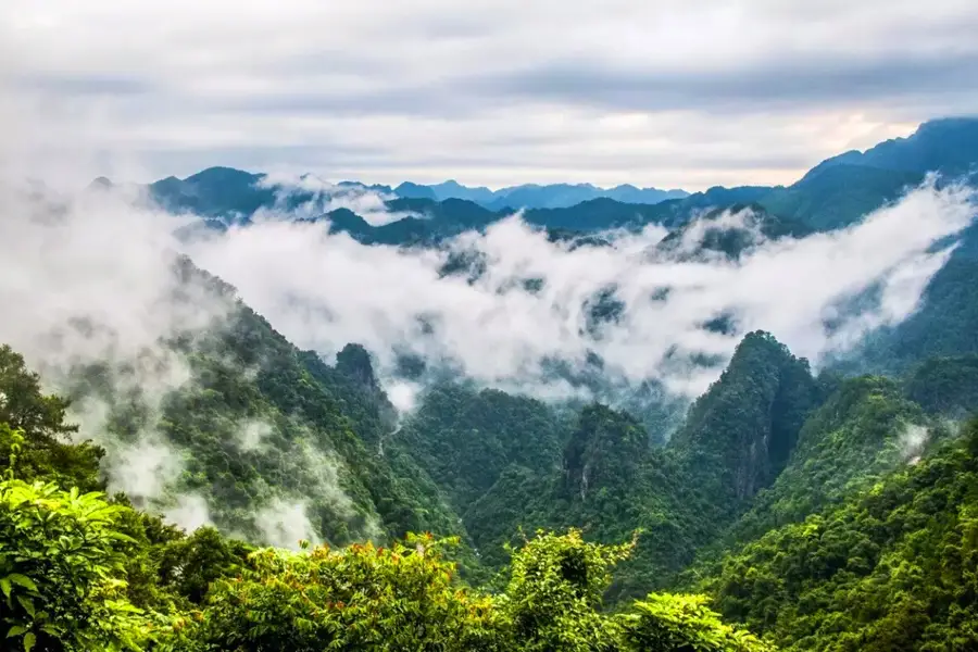 Longtan National Forest Park