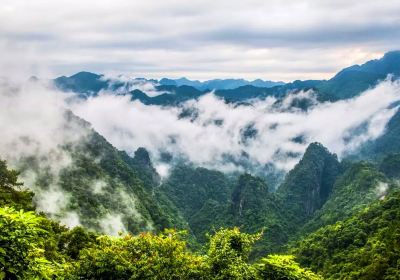 Longtan National Forest Park