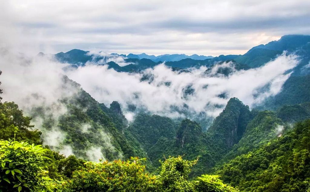 Longtan National Forest Park