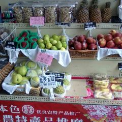 Lily Fruit User Photo