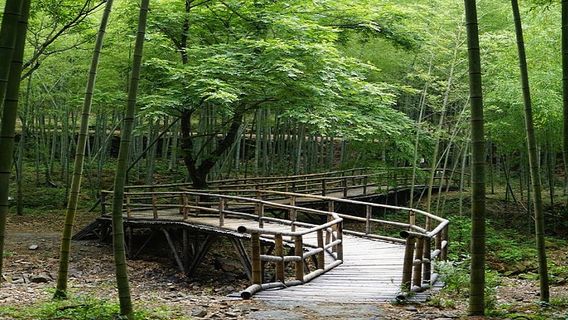 象山日遊