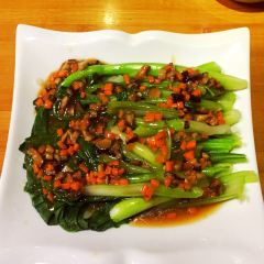 colorful snowland User Photo