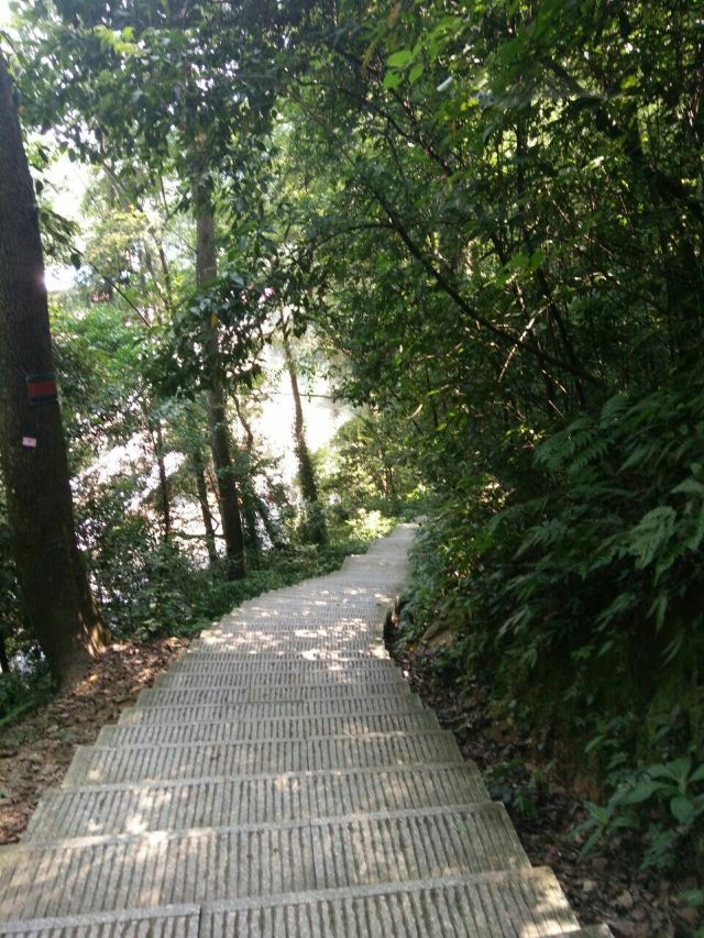 치산 관광단지