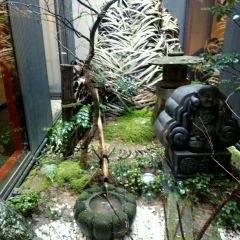 Yossou ảnh của người dùng