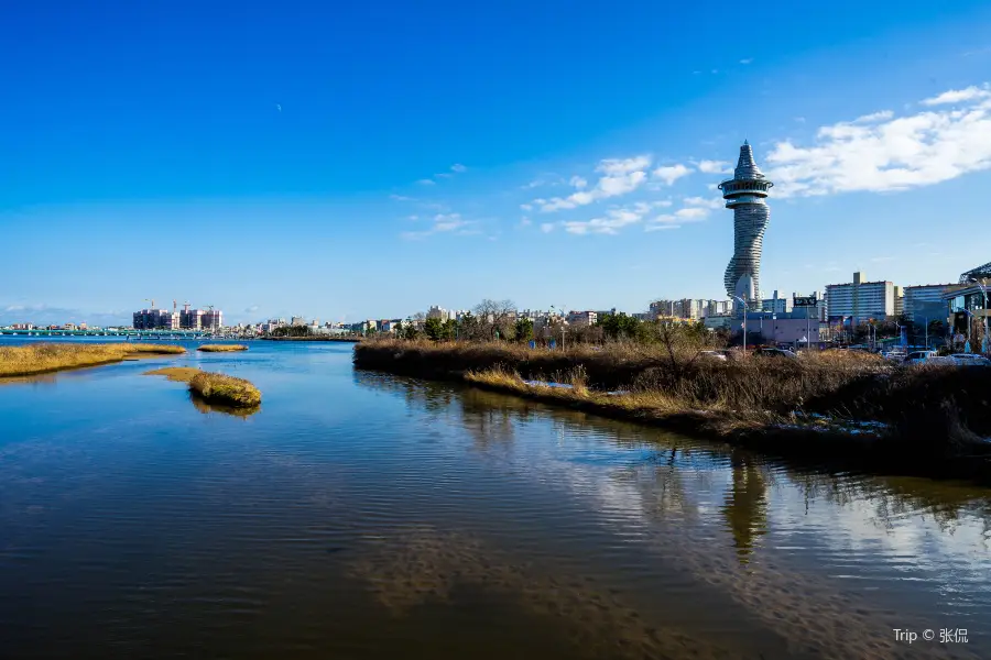 Expo Tower sangjingtap