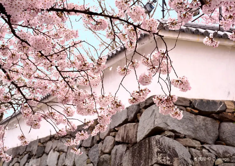 【福岡美食】2025福岡美食餐廳盤點!附當地景點推薦