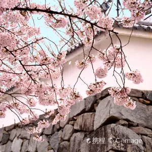 【福岡美食】2026福岡美食餐廳盤點！附當地景點推薦