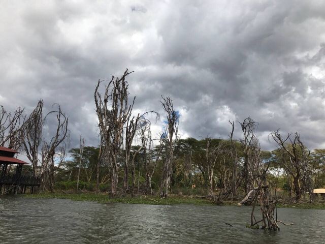 Lake Bogoria