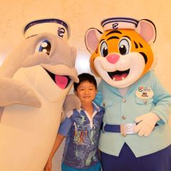 DOLPHIN ALL DAY DINING User Photo