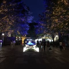 TAIGENBAO WUMIZHOU User Photo