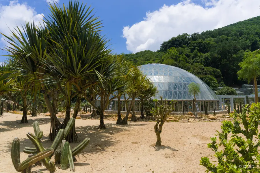 沙漠植物區