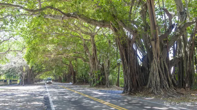 5_Coral Gables