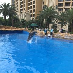 DOLPHIN ALL DAY DINING User Photo