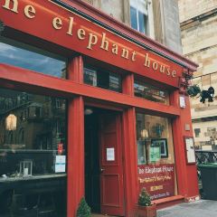 The Elephant House User Photo