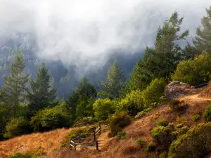 Muir Woods National Monument
