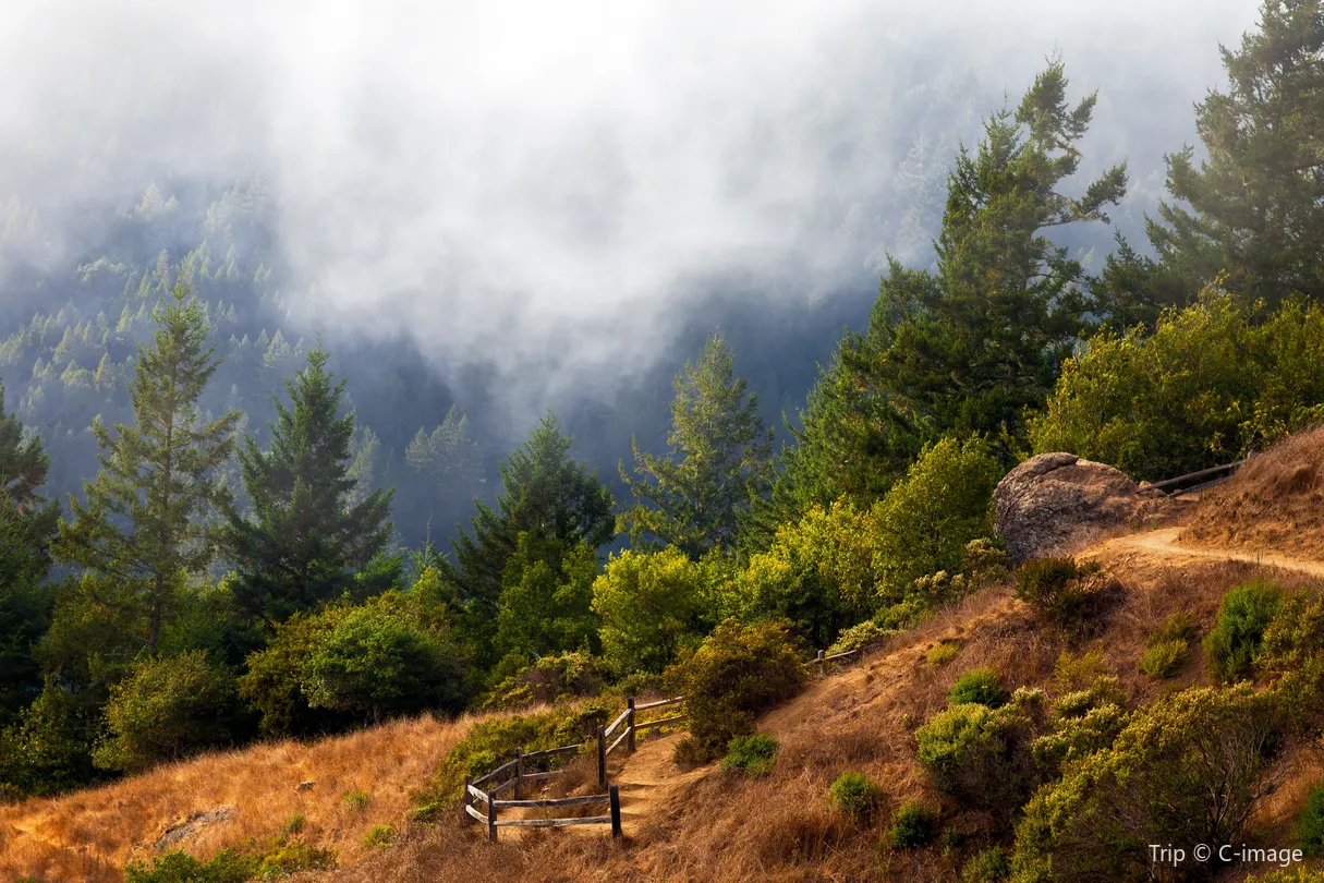 4_Muir Woods National Monument