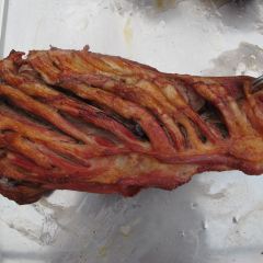 PRAIRIE BARBECUE User Photo