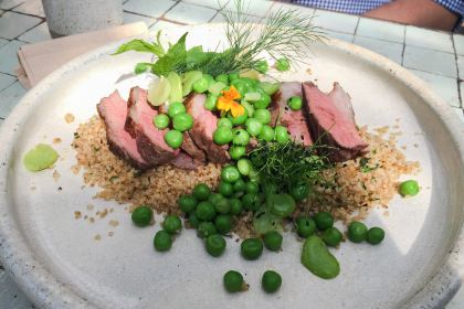 The Grounds of Alexandria