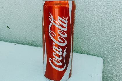 Roasted Duck Shop 69