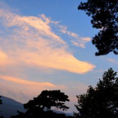 小院子酒家 User Photo