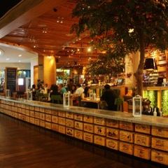 Social House 여행 사진