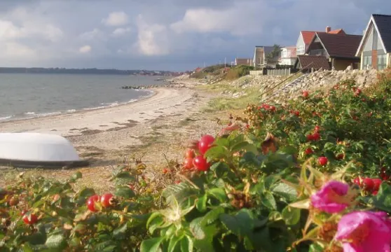 戈雅古經濟型酒店（客房&早餐）