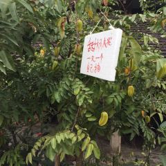 茶物语(茶马街店) User Photo