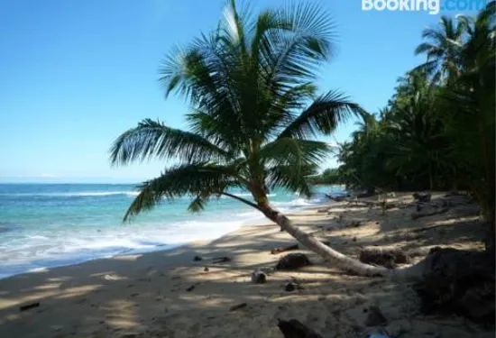 馬爾佛得角住宿加早餐旅館