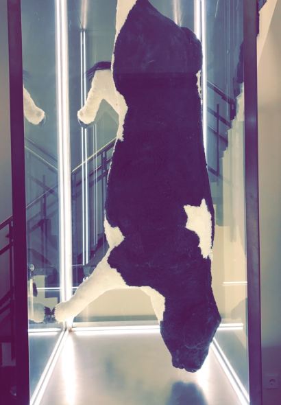 THE BUTCHER Nine Streets