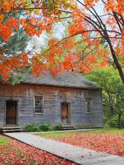 Black Creek Pioneer Village