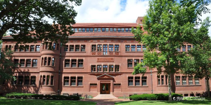Harvard Yard