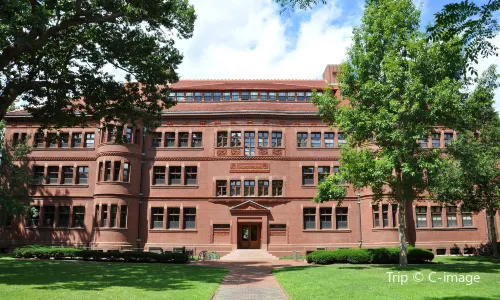 Harvard Yard