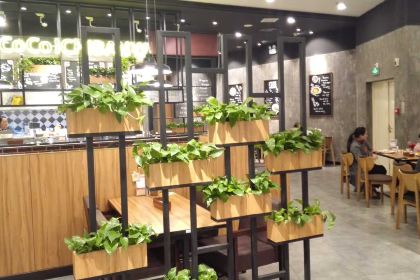 CoCo壱番屋(海岸城店)