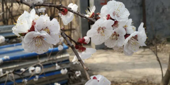 肯德基（新城路店）
