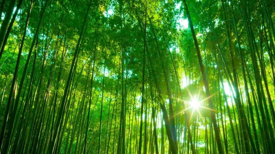 正新鸡排·炸鸡烧烤(天台3店)