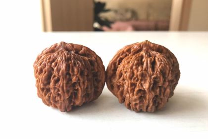 肯德基(鑫乐汇店)