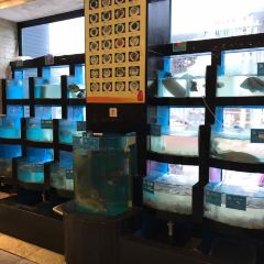 董小姐家宴(沈家门店) User Photo