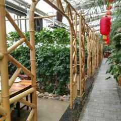 ZHUSHANLI User Photo