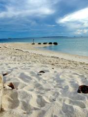 Turtle Islands National Park