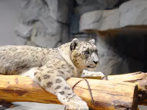Sapporo City Maruyama Zoo