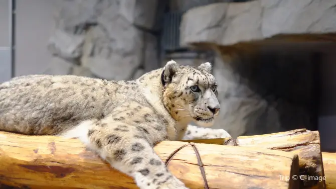 3_札幌市圓山動物園