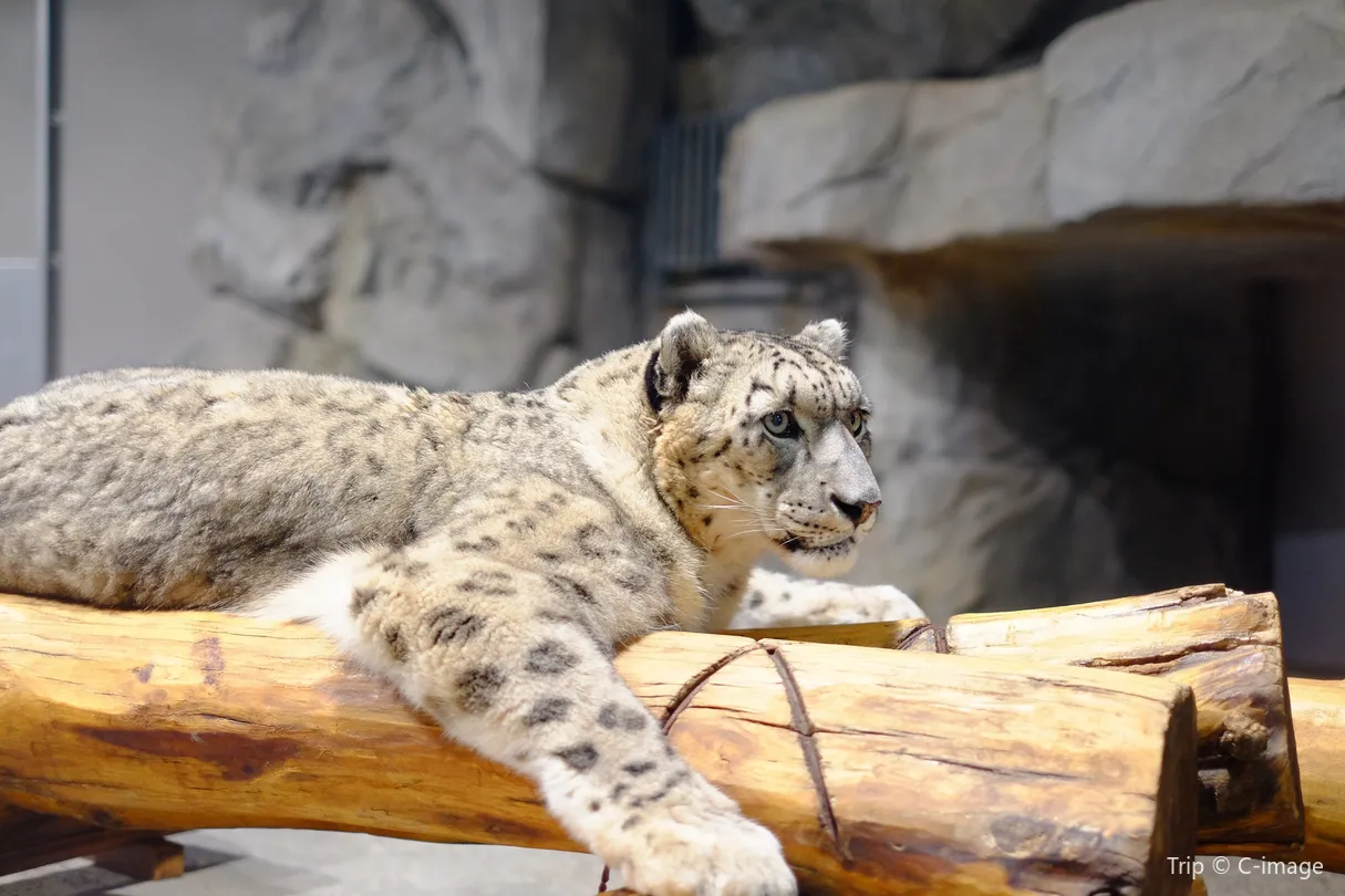 3_札幌市圓山動物園