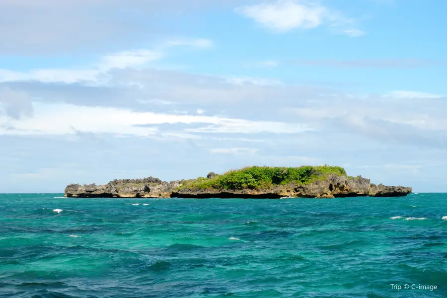 鱷魚島