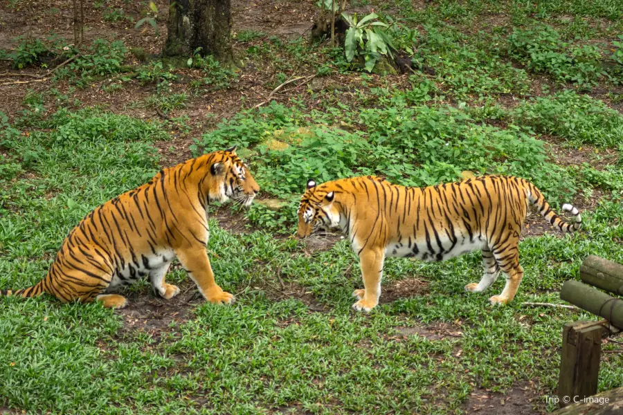 ジョホール動物園