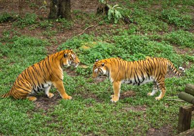 Johor Zoo