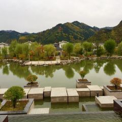 万豪酒店·龙舍中餐厅 User Photo