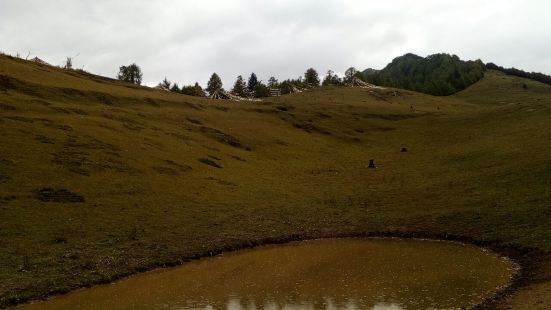 在四姑娘山海子沟内，是一处面积较大的高山草甸，附近的藏民在这