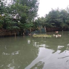 Zhugexieyuan Farm Family Resort (lianhuadao) User Photo