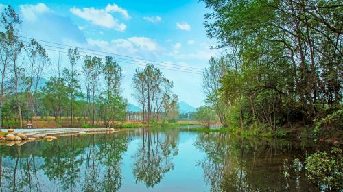 Xianxi Flower Gallery